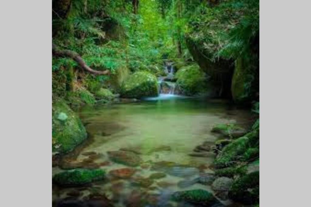 فيلا Beauty Tiny Walk To Sea ميناء دوغلاس المظهر الخارجي الصورة